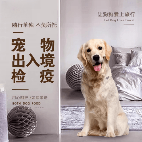 松江区宠物托运到哥伦比亚猫狗宠物入境规定和