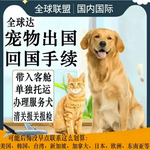 松江区宠物托运到柬埔寨宠物入境规定和要求